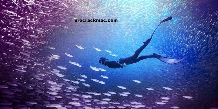 Adobe Premiere Elements Adobe Premiere Elements full version